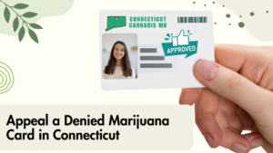 Appeal a Denied Marijuana Card in Connecticut