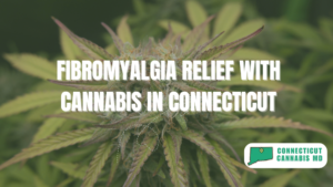 Fibromyalgia Relief with Cannabis in Connecticut