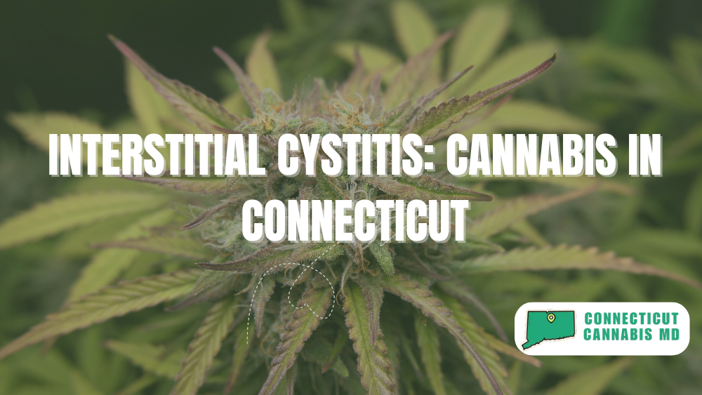 Interstitial Cystitis: Cannabis in Connecticut