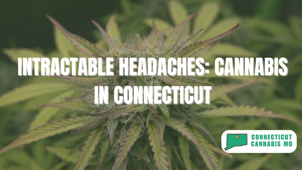 Intractable Headaches: Cannabis in Connecticut