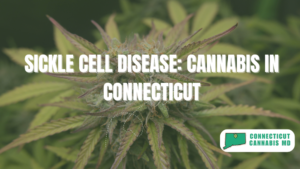 Sickle Cell Disease: Cannabis in Connecticut