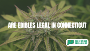 Are Edibles Legal in Connecticut