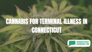 Cannabis for Terminal Illness in Connecticut