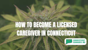 How To Become a Licensed Caregiver in Connecticut