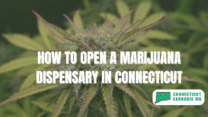 how to open a marijuana dispensary in Connecticut