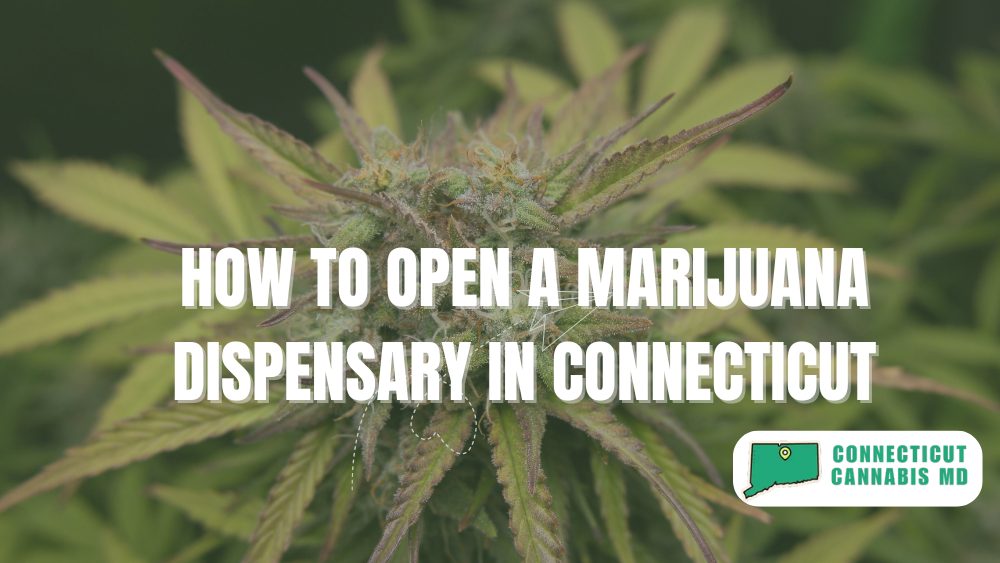 how to open a marijuana dispensary in Connecticut