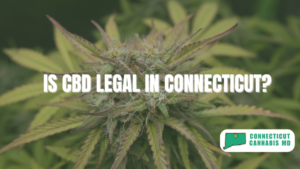 Is CBD Legal in Connecticut?