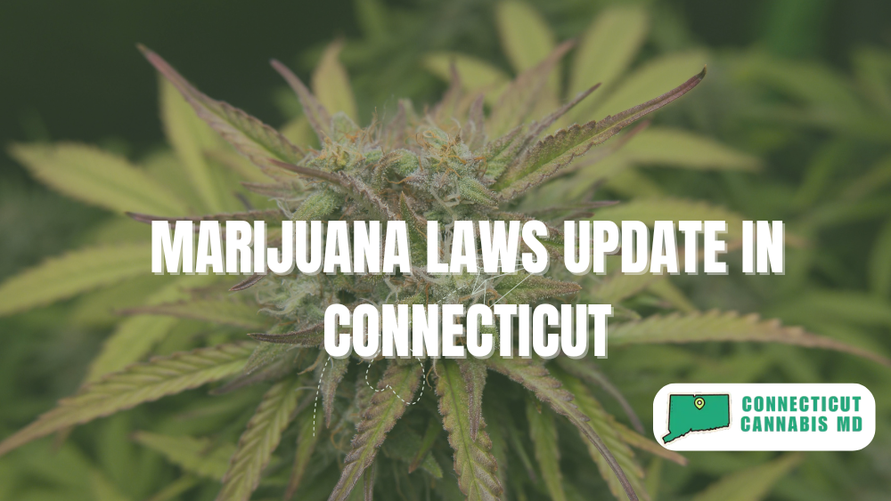 Marijuana Laws Update in Connecticut