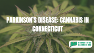 Parkinson’s Disease: Cannabis in Connecticut