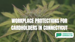 Workplace Protections for Cardholders in Connecticut